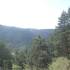 Pino de la Cadena (Valle de Siete Picos, Sierra de Guadarrama); singles en madrid la vall d aran tie